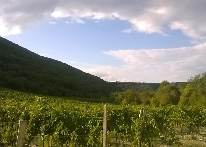 La Dame Blanche * Saint-Maurice-dʼIbie