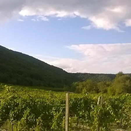 La Dame Blanche * Saint-Maurice-d'Ibie